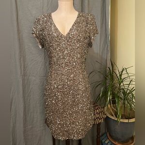 Parker Bead & Sequin Silk Dress~
